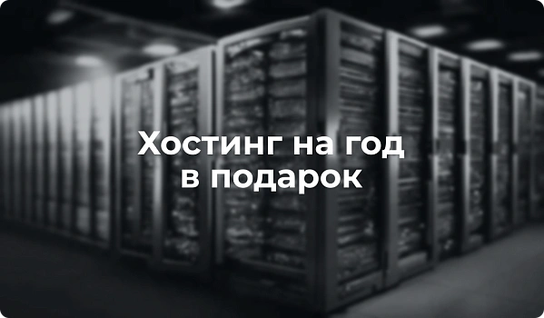 Закажите сайт и получите хостинг на год в подарок