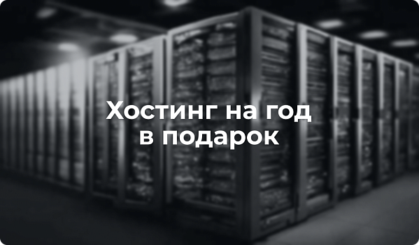 Закажите сайт и получите хостинг на год в подарок